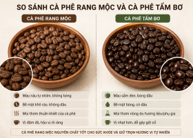Cà phê Robusta nguyên chất là gì? Địa chỉ mua uy tín tại Việt Nam