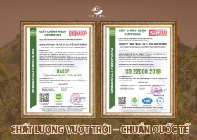 Địa chỉ mua cà phê Robusta nguyên chất  và uy tín tại Việt Nam
