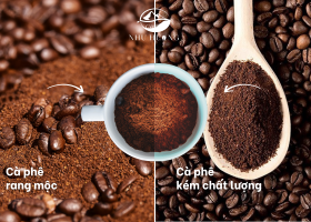 Phân biệt cà phê Robusta rang mộc và cà phê tẩm bơ – Mua ở đâu uy tín?