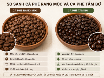 Cà phê Robusta nguyên chất là gì? Địa chỉ mua uy tín tại Việt Nam