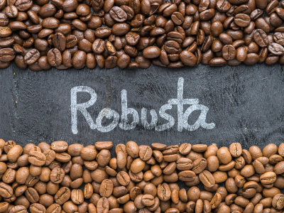 Robusta có vị gì? Khám phá hương vị đậm đà & nguồn cung cà phê Robusta rang mộc uy tín