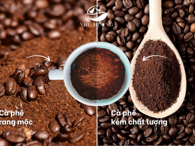 Phân biệt cà phê Robusta rang mộc và cà phê tẩm bơ – Mua ở đâu uy tín?