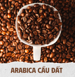 ARABICA CẦU ĐẤT