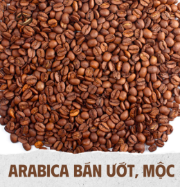 ARABICA BÁN ƯỚT, MỘC