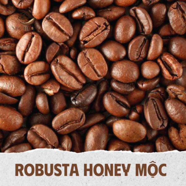 ROBUSTA HONEY MỘC